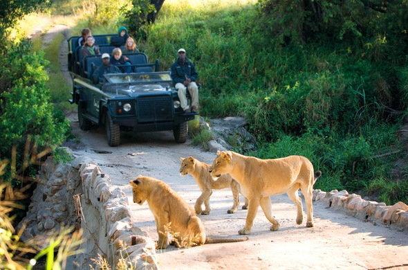 Kruger Park Lodge 401 Hazyview Eksteriør bilde